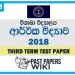 Visakha College Economics 3rd Term Test paper 2018 - Grade 13