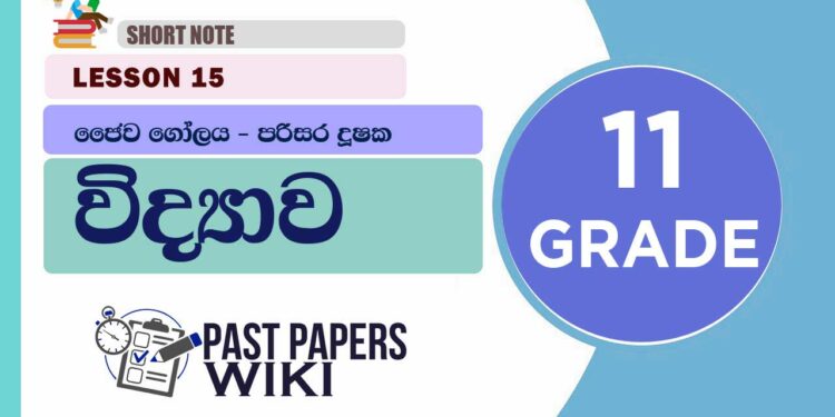 Jaiwa Golaya – Parisara Dushaka short note | Grade 11 Science | Lesson 15