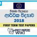 Visakha College Economics 1st Term Test paper 2018 - Grade 13