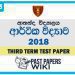 Ananda College Economics 3rd Term Test paper 2018 - Grade 13
