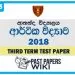 Ananda College Economics 3rd Term Test paper 2018 - Grade 13