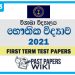 Visakha College Physics 1st Term Test paper 2021 - Grade 13