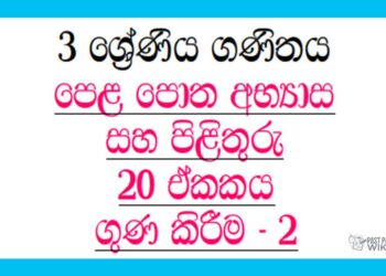 Grade 03 Mathematics | Unit 20 | Textbook Exercises