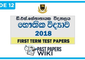 D.S. Senanayake College Physics 1st Term Test paper 2018 - Grade 12