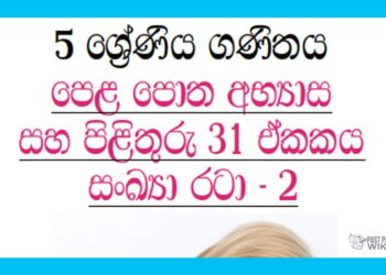 Grade 05 Mathematics | Unit 31 | Textbook Exercises