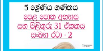 Grade 05 Mathematics | Unit 31 | Textbook Exercises