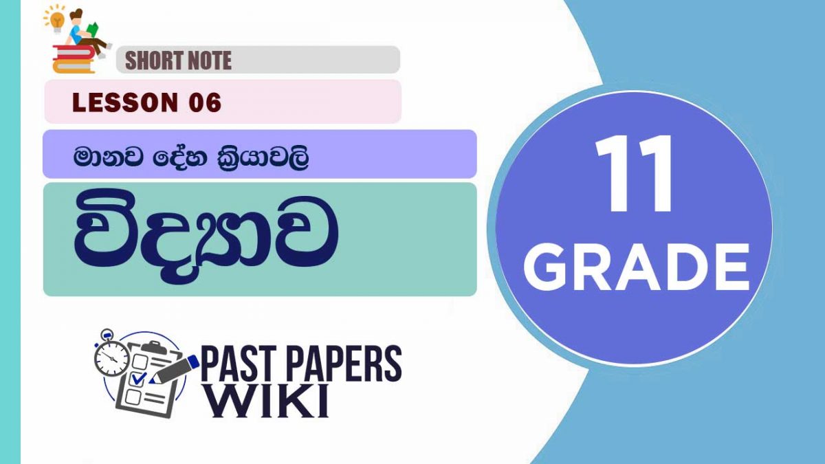 Manawa Deha Kriyawali short note | Grade 11 Science | Lesson 06