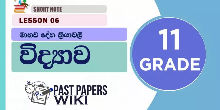Manawa Deha Kriyawali short note | Grade 11 Science | Lesson 06