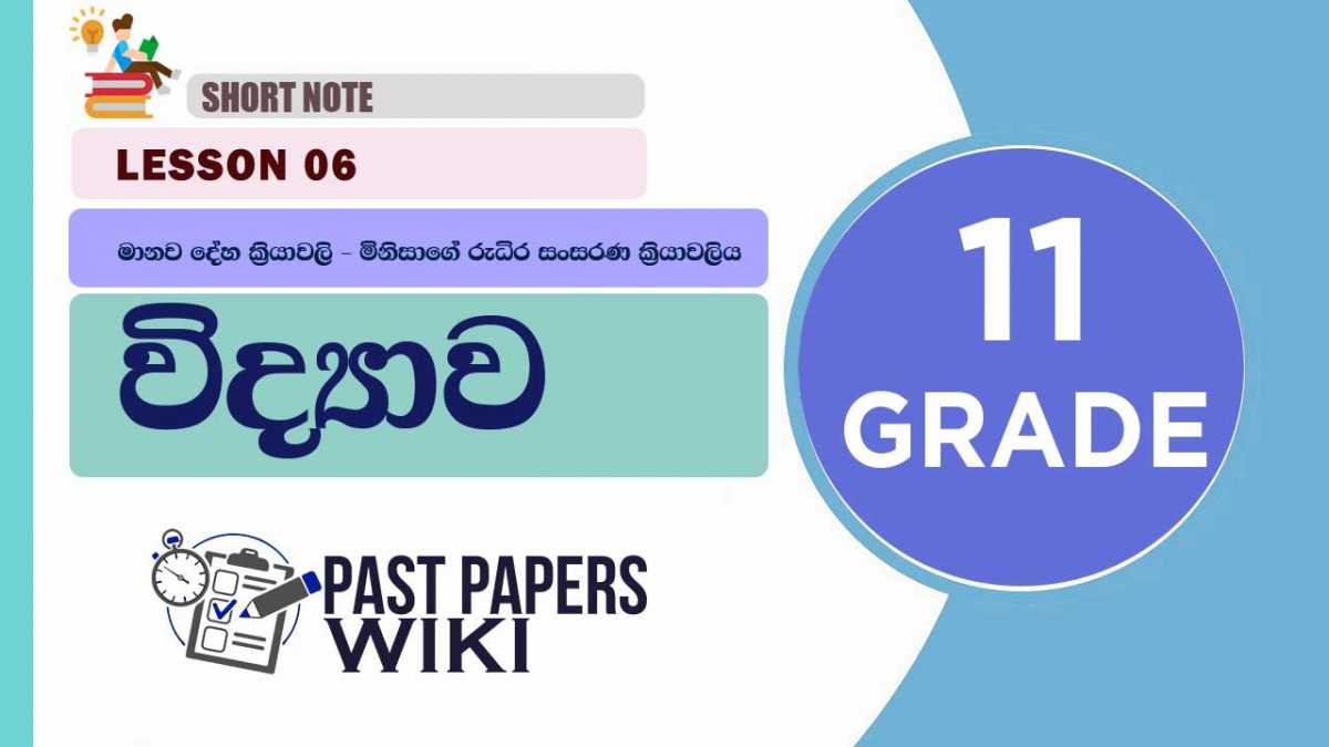 Manawa Deha Kriyawali – Minisage Rudira Sansarana Kriyawaliya short note | Grade 11 Science | Lesson 06