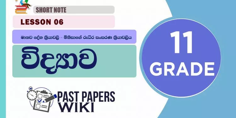 Manawa Deha Kriyawali – Minisage Rudira Sansarana Kriyawaliya short note | Grade 11 Science | Lesson 06