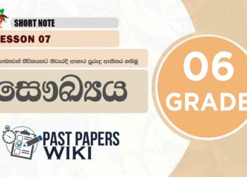 Let us Get Used to Healthy Food Habits | Grade 06 Health | Lesson 07