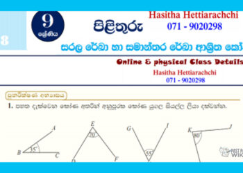 Grade 09 Mathematics Unit 08 | Angles Related To Straight Lines And Parallel Lines – textbook exercises