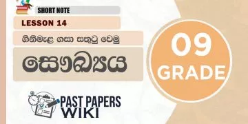 Let us Enjoy Making Bonfires | Grade 09 Health | Lesson 14