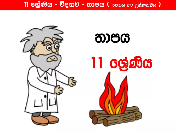 Thapa Darithawa short note | Grade 11 Science | Lesson 09