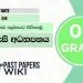 WORLD OF WORK | Grade 09 Civic Education | Lesson 06