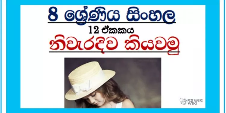 Grade 08 Sinhala Unit 12 | Niweradiwa Kiyawamu