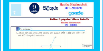 Grade 09 Mathematics Unit 07 | Axioms – textbook exercises
