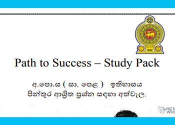 Grade 11 History | Path to SuGrade 11 History | Path to Success – Study Packccess – Study Pack