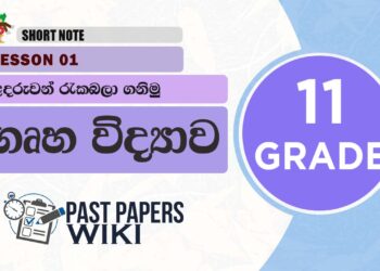 Grade 11 Home Economics lesson 13 - Ladaruwan Raka Bala Ganimu short note in Sinhala Medium