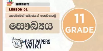 Let us Build a Healthy Society | Grade 11 Health | Lesson 01