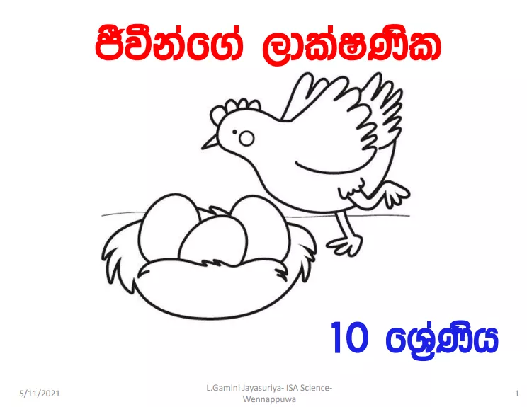 Jeevinge Lakshanika - Grade 10 Science Lesson 08 | Short Note