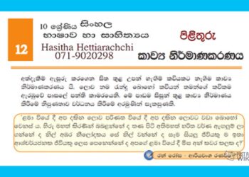 Grade 10 Sinhala Language Unit 12 | Kavya Nirmanakaranaya
