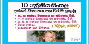 Grade 10 Sinhala Language Unit 16 | Akshara Vinyasaya ha Virama lakunu