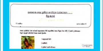 Grade 11 Study Pack – Art (04)