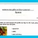 Grade 11 Study Pack – Art (04)