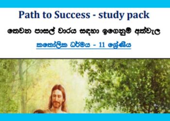 Grade 11 Study Pack – Catholicism (03)