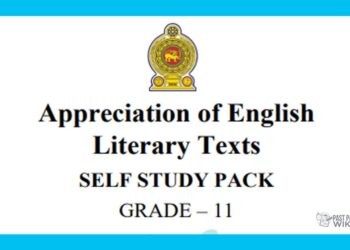 Grade 11 Study Pack – English Literature (01)