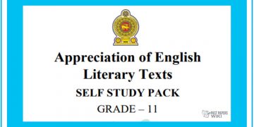 Grade 11 Study Pack - English Literature (01) | Past Papers Wiki