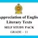 Grade 11 Study Pack – English Literature (01)
