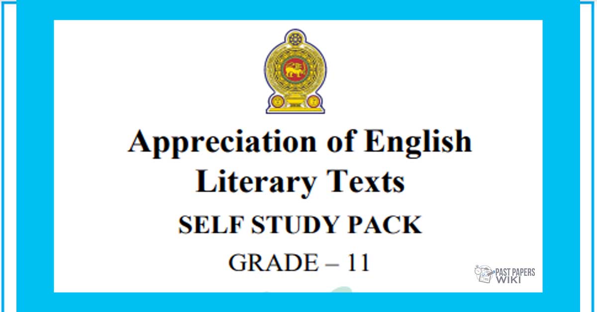 english fal grade 11 literature assignment