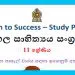 Grade 11 Study Pack – Sinhala Literature