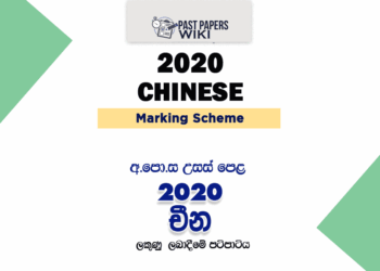 2020 A/L Chinese Marking Scheme