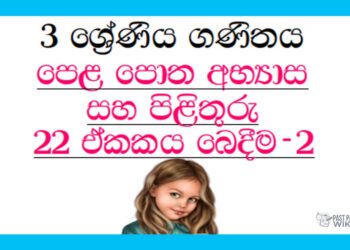 Grade 03 Mathematics Unit 22 | Textbook Exercises