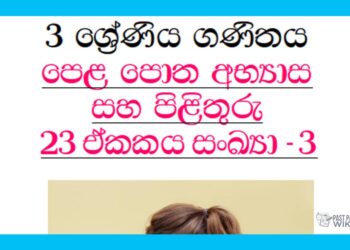 Grade 03 Mathematics Unit 23 | Textbook Exercises