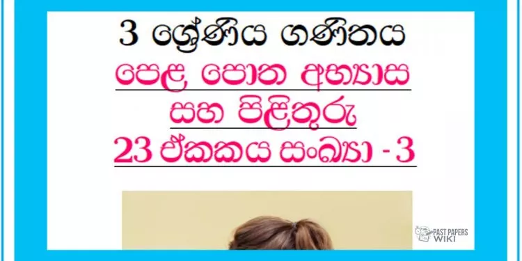Grade 03 Mathematics Unit 23 | Textbook Exercises