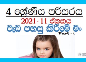 Grade 04 Environment Unit 11 | Weda Pahasu Kirime Man