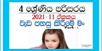 Grade 04 Environment Unit 11 | Weda Pahasu Kirime Man