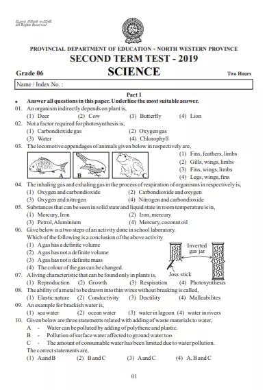 Grade 06 Science 2nd Term Test Paper 2019 English Medium – North Western Province