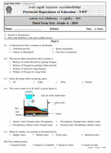Grade 06 Science 3rd Term Test Paper 2019 English Medium - North ...