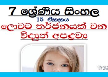 Grade 07 Sinhala Unit 15 | Lowata Tharjanayakwana Vidyuth Apadrawya