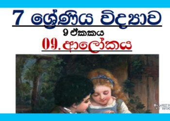 Grade 07 Science Unit 09 | LIGHT