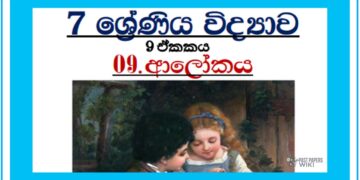 Grade 07 Science Unit 09 | LIGHT