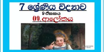 Grade 07 Science Unit 09 | LIGHT