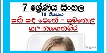 Grade 07 Sinhala Unit 16 | Sakisada Pene Samanolagala Negenahira