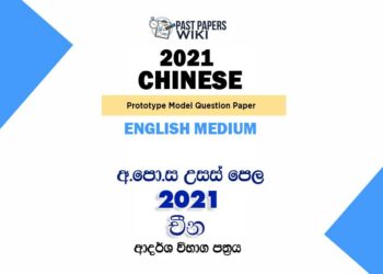 2021 A/L Chinese Model Paper | English Medium