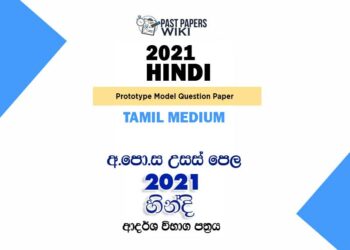 2021 A/L Hindi Model Paper | Tamil Medium